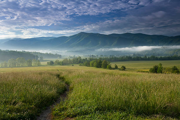 경로 cades 코브 - great smoky mountains great smoky mountains national park fog mountain 뉴스 사진 이미지