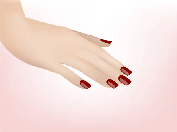 Vector illustration of Beautiful illustration vector design of woman hand with red color manicure nails on a white pink background