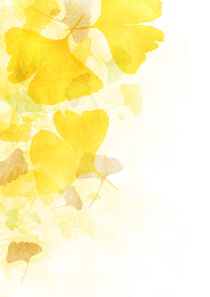 이것은 단풍의 배경입니다. - ginkgo tree ginkgo tree japan stock illustrations