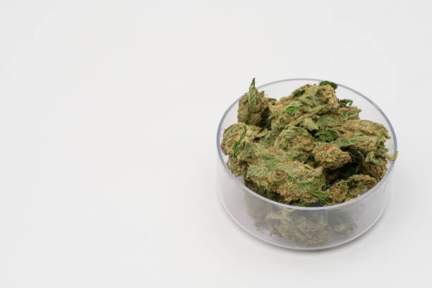 istock Marijuana cannabis Medicinal, weed joint In a glass container, drugs. 1212300781