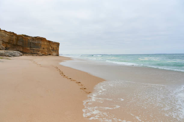 Foz do Arelho, Praia Del Rei, Baleal and Cabo Carvoeiro, holidays 2019