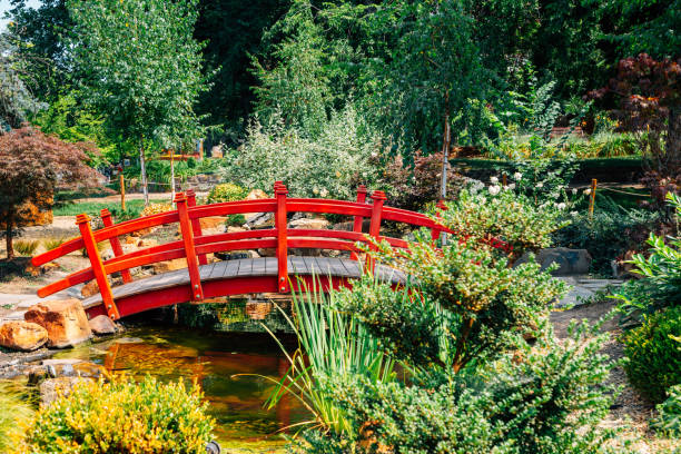 istock Bega Riverside park in Timisoara, Romania 1212301856