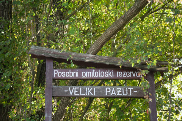 istock Sign Special Ornithological Reserve Veliki Pazut 1212307042
