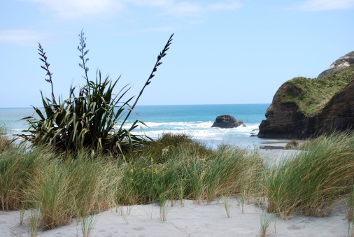The walk to Wharariki beach is as amazing as the Wharariki Beach itself. The constant sweeping wind and wave along the western coast have combined to produce one of the most amazing coastal landscapes. 
