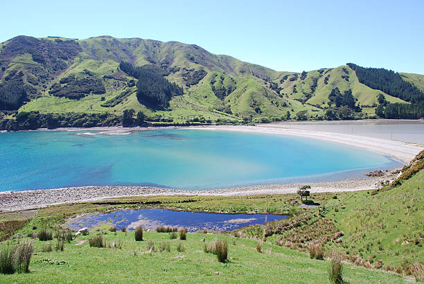 istock Cable Bay, Nelson, New Zealand 121231243