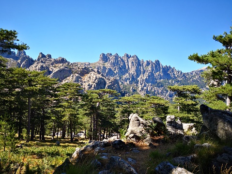 Corsican landscape