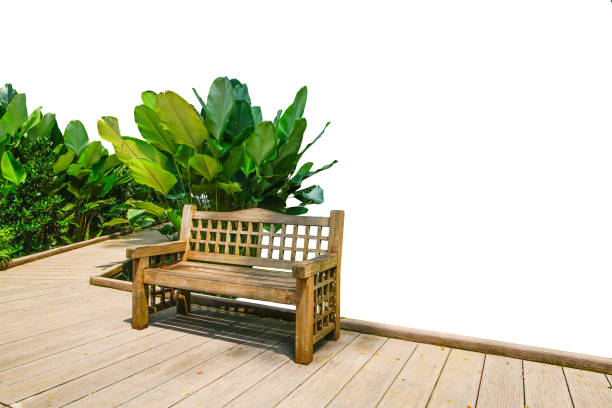 wooden chair in the park  isolated include clipping path on white background