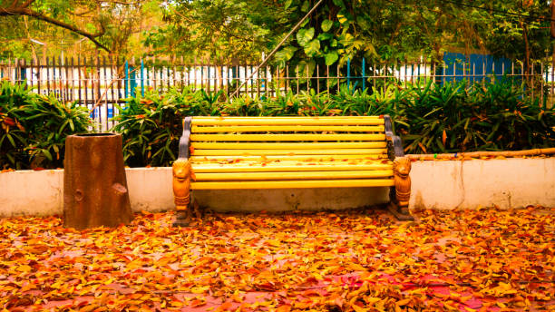 . banc de parc avec des feuilles d’or de falken dans un jardin communautaire. chaise extérieure dans une pelouse avant ou arrière de cour avec des arrière-plans de couleur de feuille d’automne. jardin rupestre japonais. environnement forestier. - landscaped front or back yard grass green photos et images de collection