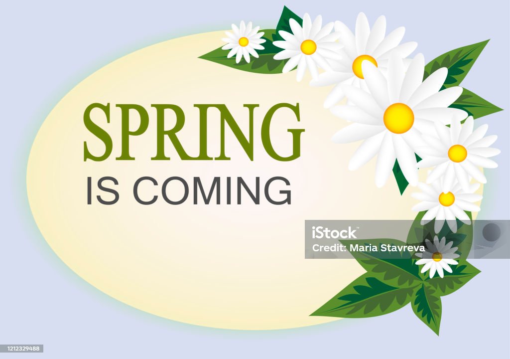 Spring Is Coming Stop In Flower Background And Spring Is Coming Stock Illustration - Download ...