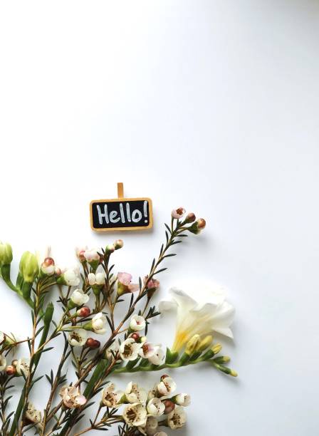 istock Hello spring chalkboard on white background with spring wax flowers 1212330400
