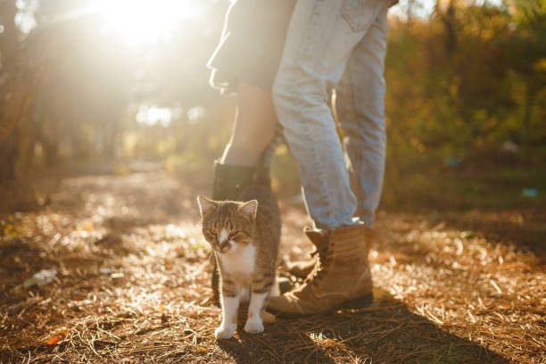 istock Lovely hipster couple enjoying each other. 1212331351