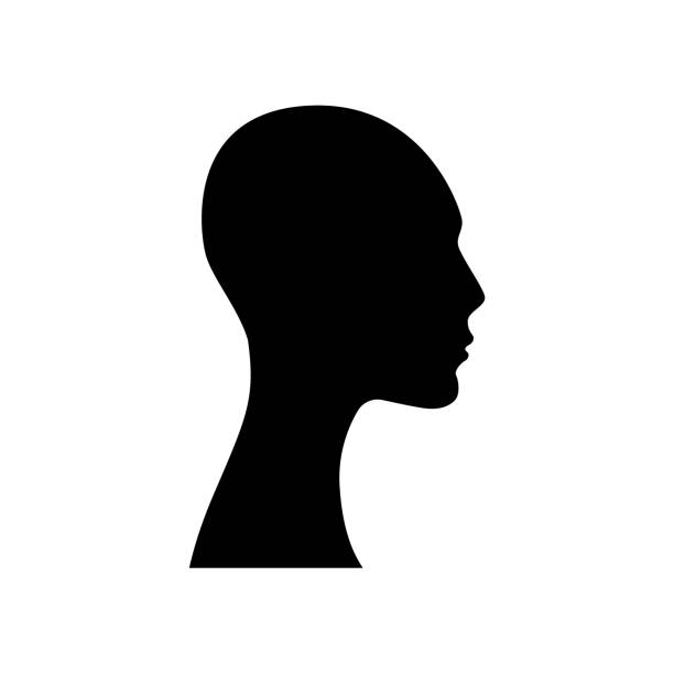 ilustrações de stock, clip art, desenhos animados e ícones de side view silhouette of a bald woman's head. - mulher careca