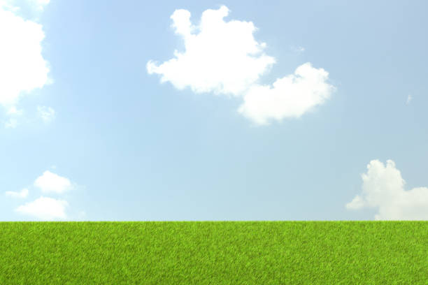 istock Fresh green and blue sky background illustration by 3D rendering 1212331844