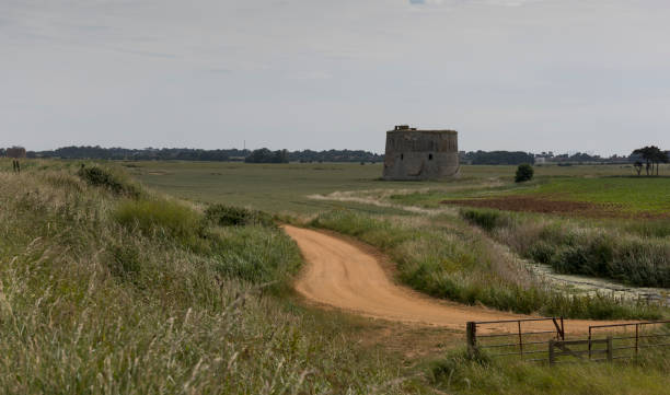 istock Landscape across suffolk fields with martello tower 1212332886