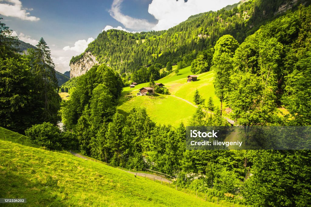 Cảnh Quan Sôi Động Của Núi Non Tuyệt Đẹp Nền Thiên Nhiên Mùa Xuân Xanh Hình  Nền Thiên Nhiên Tuyệt Vời Toàn Cảnh Thụy Sĩ Phong Cảnh Mùa Xuân Sôi Động  Rừng