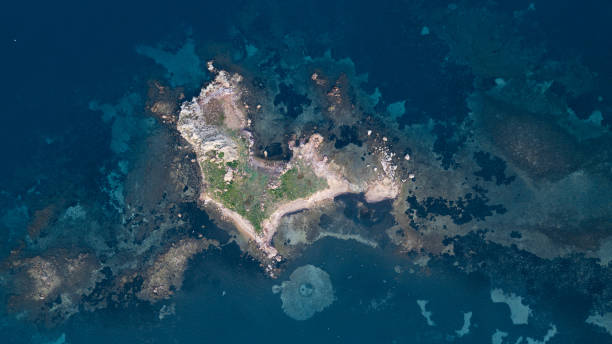 istock gulls on bird's eye view island 1212337204