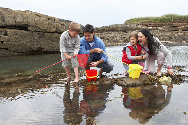 istock Young family at beach collecting shells 121234493