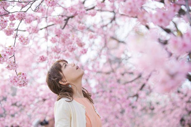 istock Portrait taken under a cherry tree 1212346388