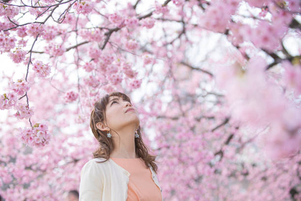 istock Portrait taken under a cherry tree 1212346392