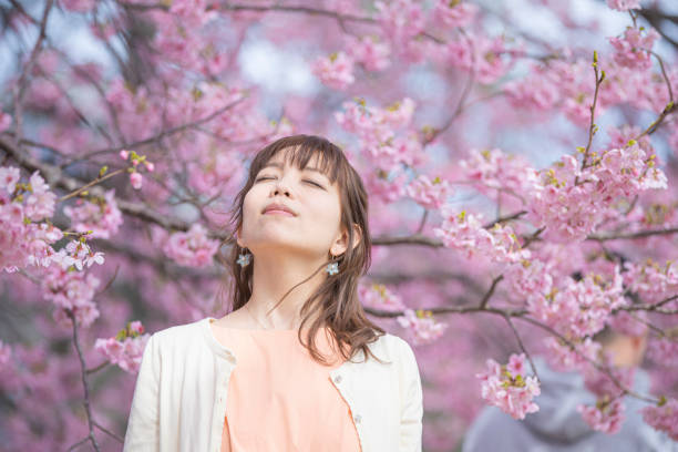 istock Portrait taken under a cherry tree 1212346415