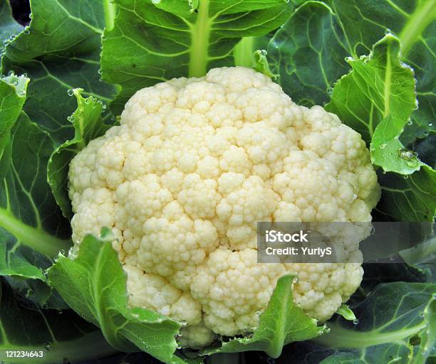 Cauliflower Stock Photo - Download Image Now - Agriculture, Cabbage, Cauliflower