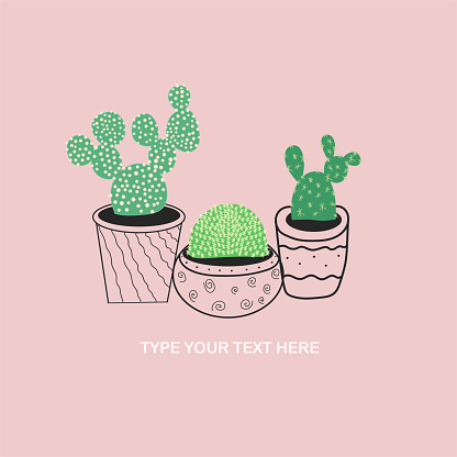 Cactus Background For Text In Beautiful Style Exotic Wallpaper Cartoon  Vector Illustration Graphic Element Stock Illustration - Download Image Now  - iStock