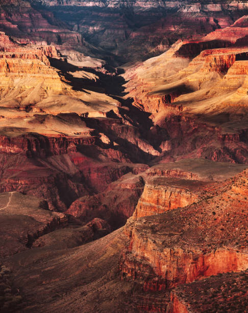 the grand canyon national park