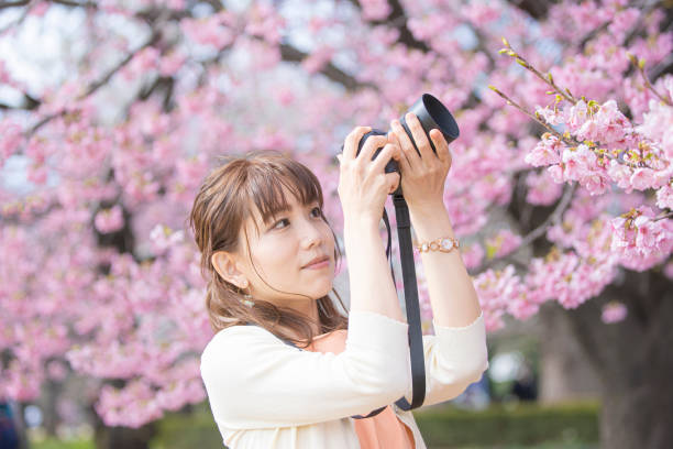 istock Woman photographing cherry blossoms 1212350780
