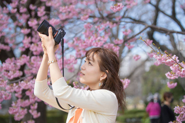 istock Woman photographing cherry blossoms 1212350783