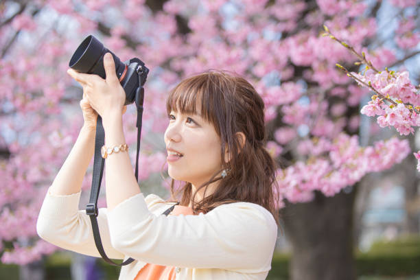 istock Woman photographing cherry blossoms 1212350784