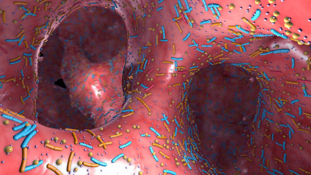 istock Different germs in the human intestines called microbiota - 3d illustration 1212351575