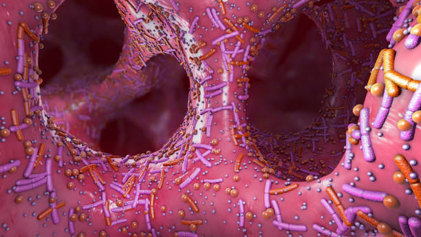 différents germes dans les intestins humains appelés microbiote - illustration 3d - infection du tube intestinal photos et images de collection