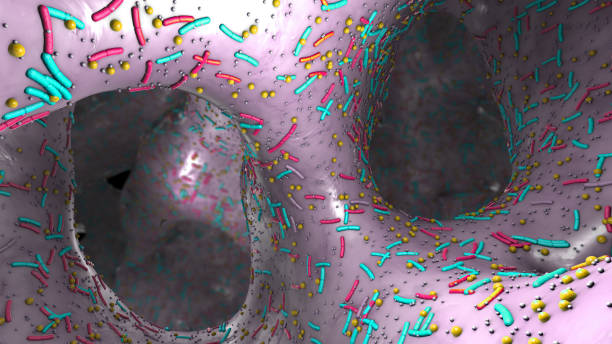 istock Different germs in the human intestines called microbiota - 3d illustration 1212351624
