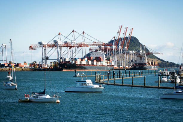 TAURANGA, NEW ZEALAND - MARCH 6, 2020: Cargo ships docked into Tauranga Harbour Port waiting for the adjacent container cranes to load. Mount Maunganui in the background stock photo