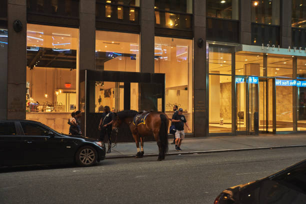 new york, Manhattan, USA - july 24 2019. New York Sheriff.
