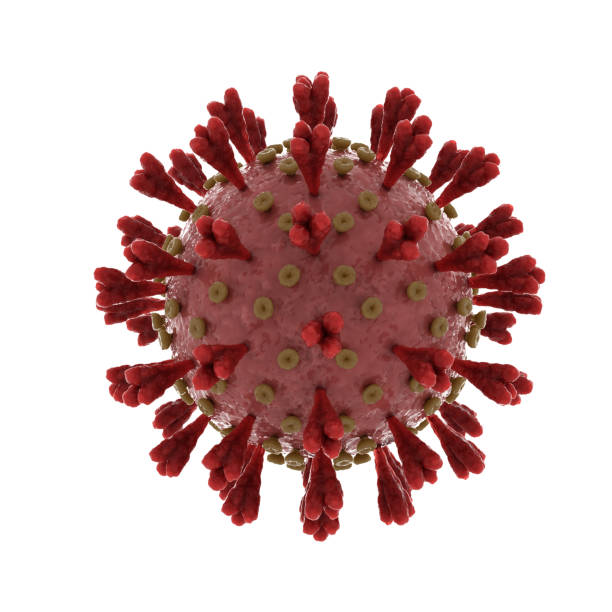 istock Severe acute respiratory syndrome coronavirus 2 causing covid 19 on white 1212363158
