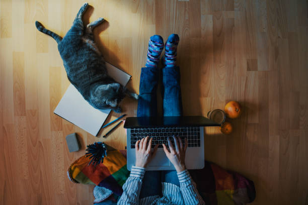 istock creative home work space - work from home concept - girl with cat 1212364519