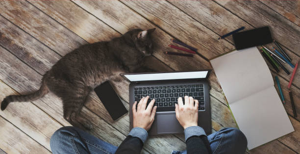 istock creative home work space - work from home concept - girl with cat 1212365428