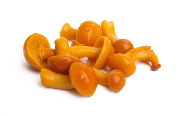 red pickled honey mushrooms isolated on white background