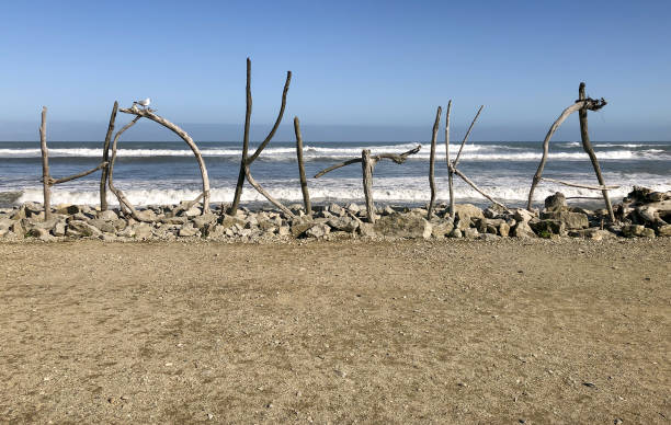istock Hokitika in Driftwood 1212368253