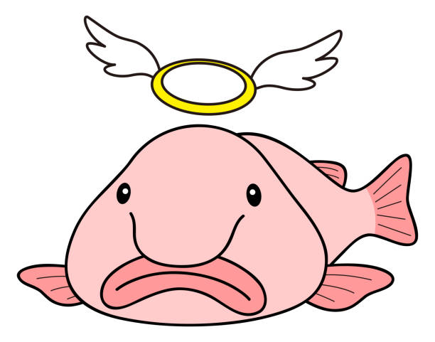 Psychrolute Smarcidus Blobfish Character Illustration Vector Stock  Illustration - Download Image Now - iStock