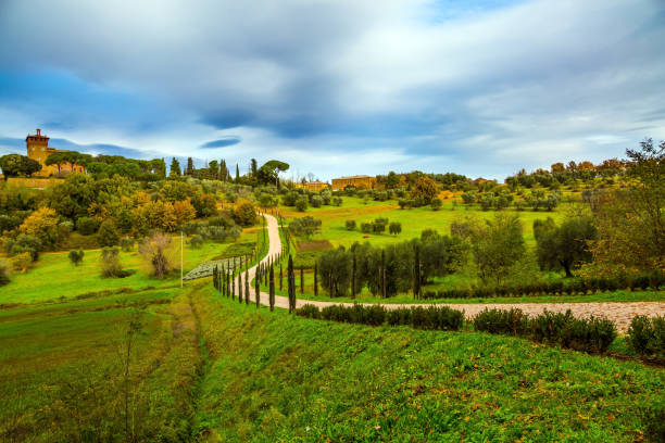 istock Winding road rises to the farm 1212375227