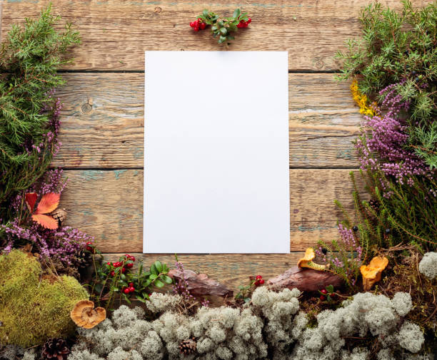 istock Old wooden background with different Northern plants and berries. 1212376545