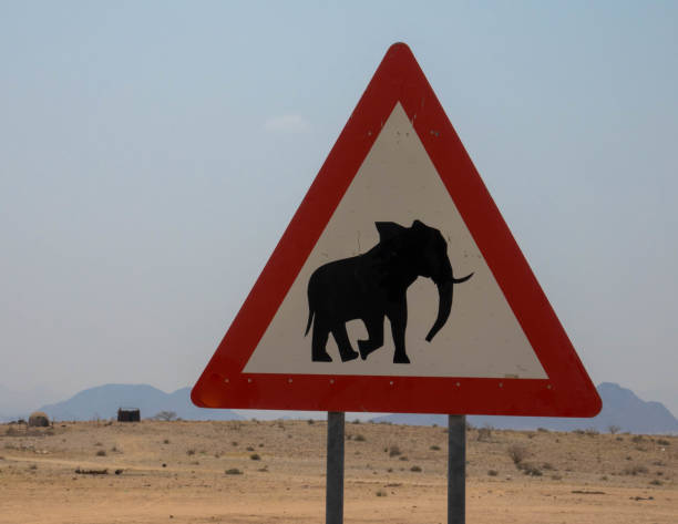 istock Elephants crossing sign in Nam 1212379139