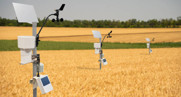 weather station in a wheat field - anemometer meteorology measuring wind imagens e fotografias de stock