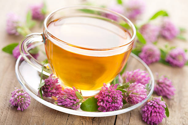 un té de hierbas y trébol flores - tea cup cup china saucer fotografías e imágenes de stock