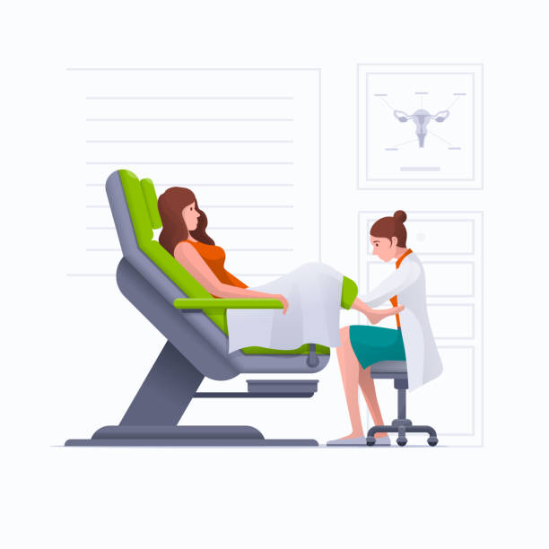 Young pregnant woman or woman is lying in gynecological examination chair during gynecological exam. A gynecologist is examined by a patient who is sitting in a gynecological examination chair. Pregnancy, woman, gynecology, medicine, health care concept vector illustration. Easy editable global colors. Elements are layered separately in vector files. gynecology stock illustrations