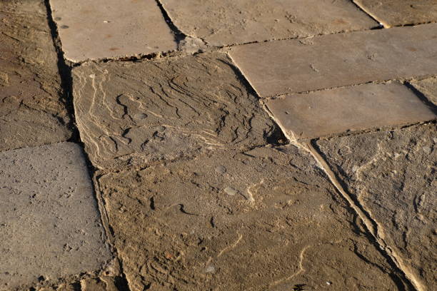 istock Old stone paving stones in bright morning light 1212387379