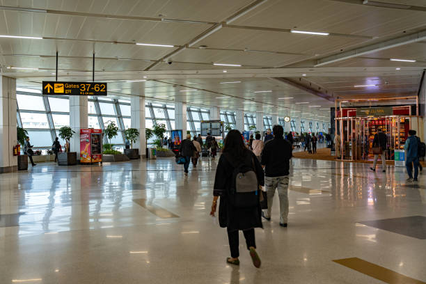 delhi indira gandhi międzynarodowy port lotniczy, indie. - asian ethnicity group of people tourist passenger zdjęcia i obrazy z banku zdjęć