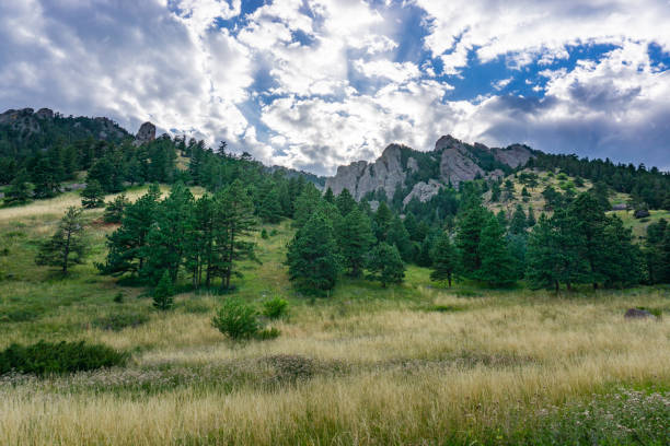 scena di montagna calda giornata di sole boulder colorado - flatirons colorado boulder mountain range foto e immagini stock